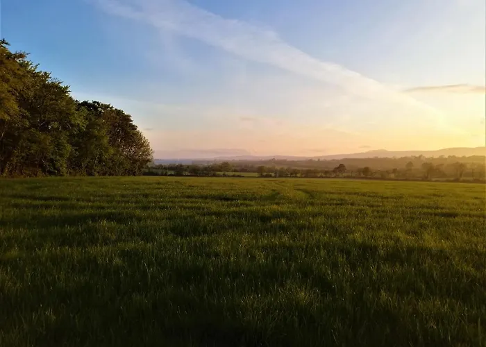 Moneylands Farm B&B Arklow photo