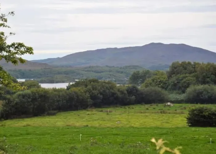 Twin Lake View - Bungalow In Pontoon Foxford photo