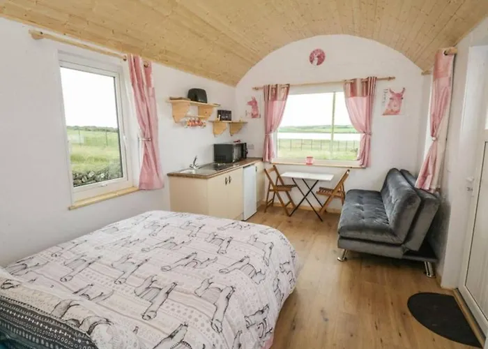 The Lazy Llama Farm Stay Shepherd Hut Ballyshannon photo
