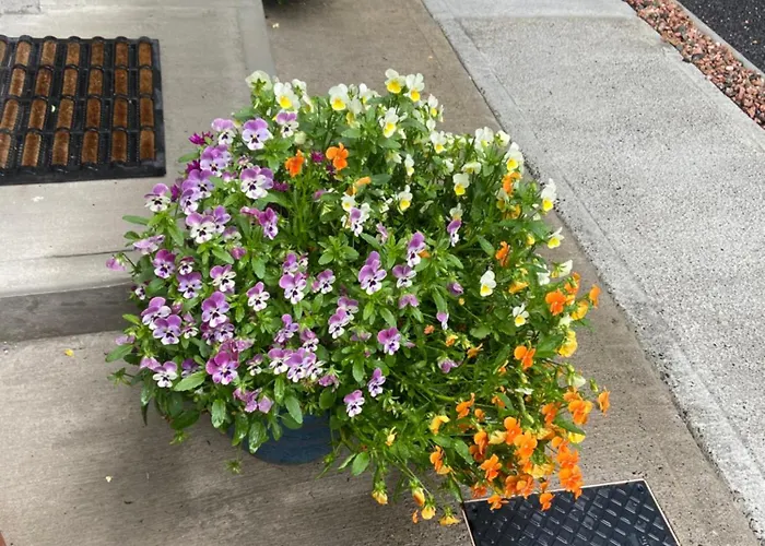 Harrys Place Μουλινγκάρ φωτογραφία