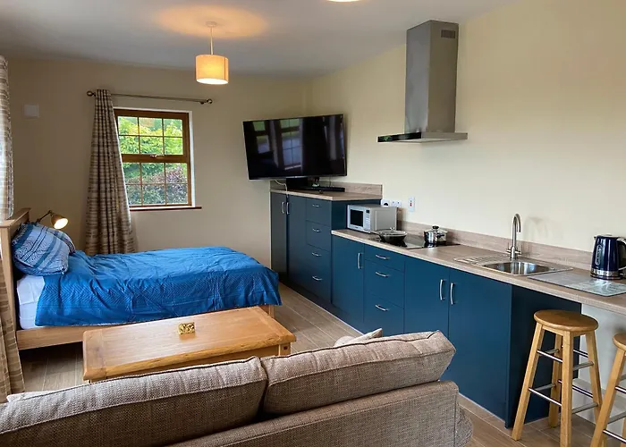 Twin Lakes Studio Apt Carrickmacross photo