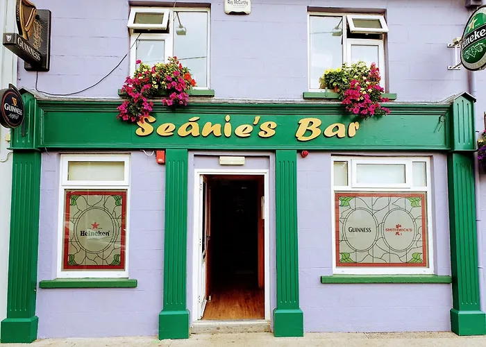 Seanie'S Guest House Tullaroan  Foto