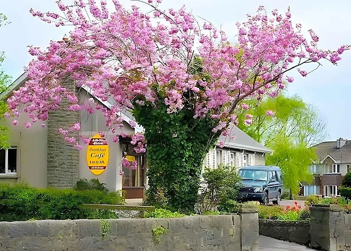Ach Na Sheen Guest House Tipperary foto
