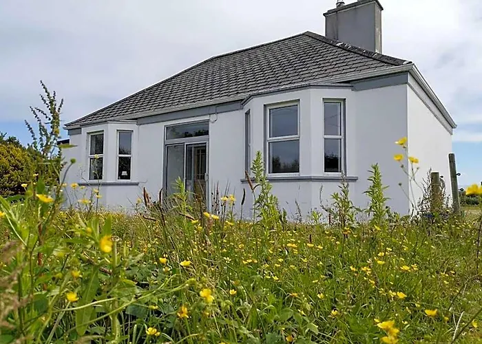 Nature Retreat - Sleeps 4 & Wild Ponies Tullaghanbaun foto