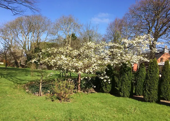 Old Castle House Bed & Breakfast Glin photo