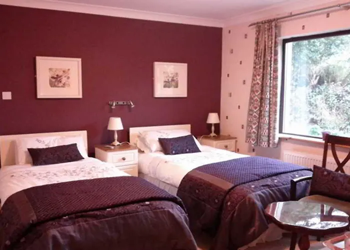 Palm Lodge Mitchelstown photo