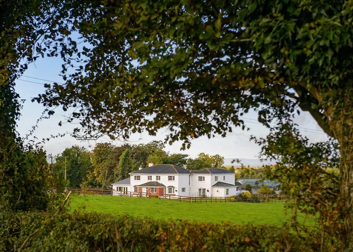 Ballindrum Farm B&B Athy photo
