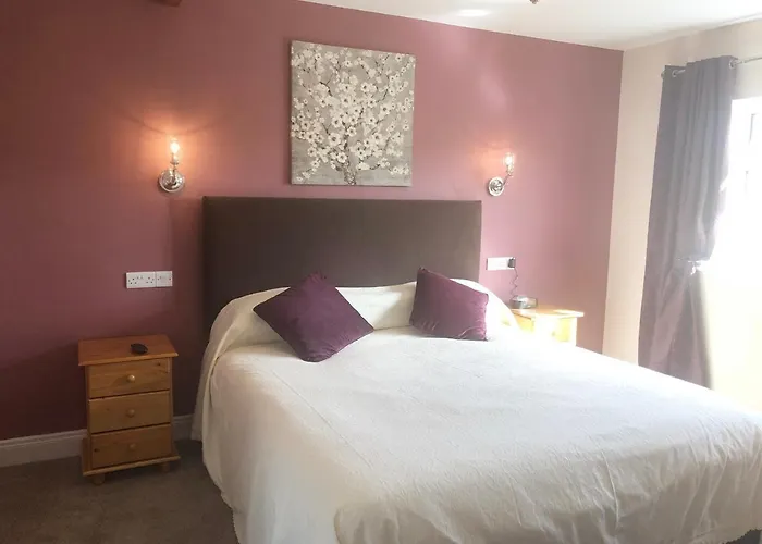 Buttermilk Lodge Guest Accommodation Clifden photo