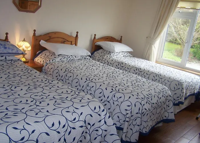 Evergreen Malahide B&B photo