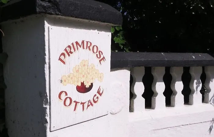 Bansha House Bed & Breakfast Tipperary photo