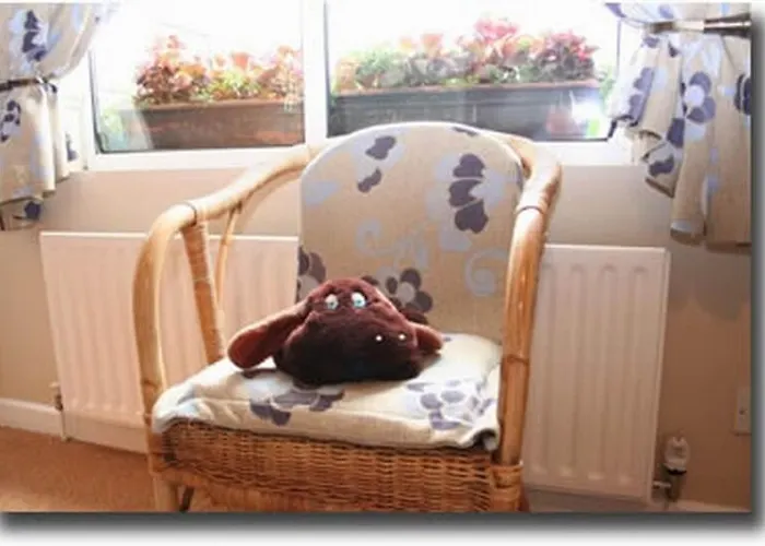Coatesland House B&B Adare photo