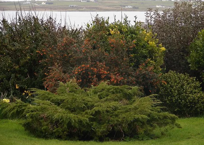 Drom Caoin Bed & Breakfast Belmullet photo
